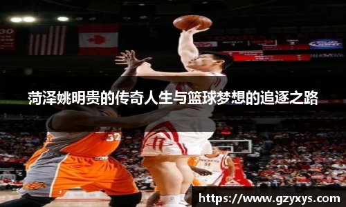 BSports网页版